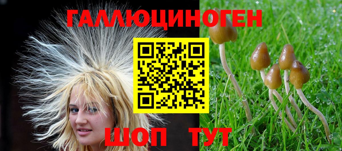 Грязи  Псилоцибиновые грибы MAGIC MUSHROOMS  Вход с VPN 